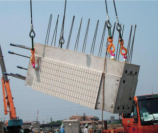 RI_VLBG_product02.jpg